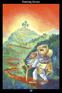 20